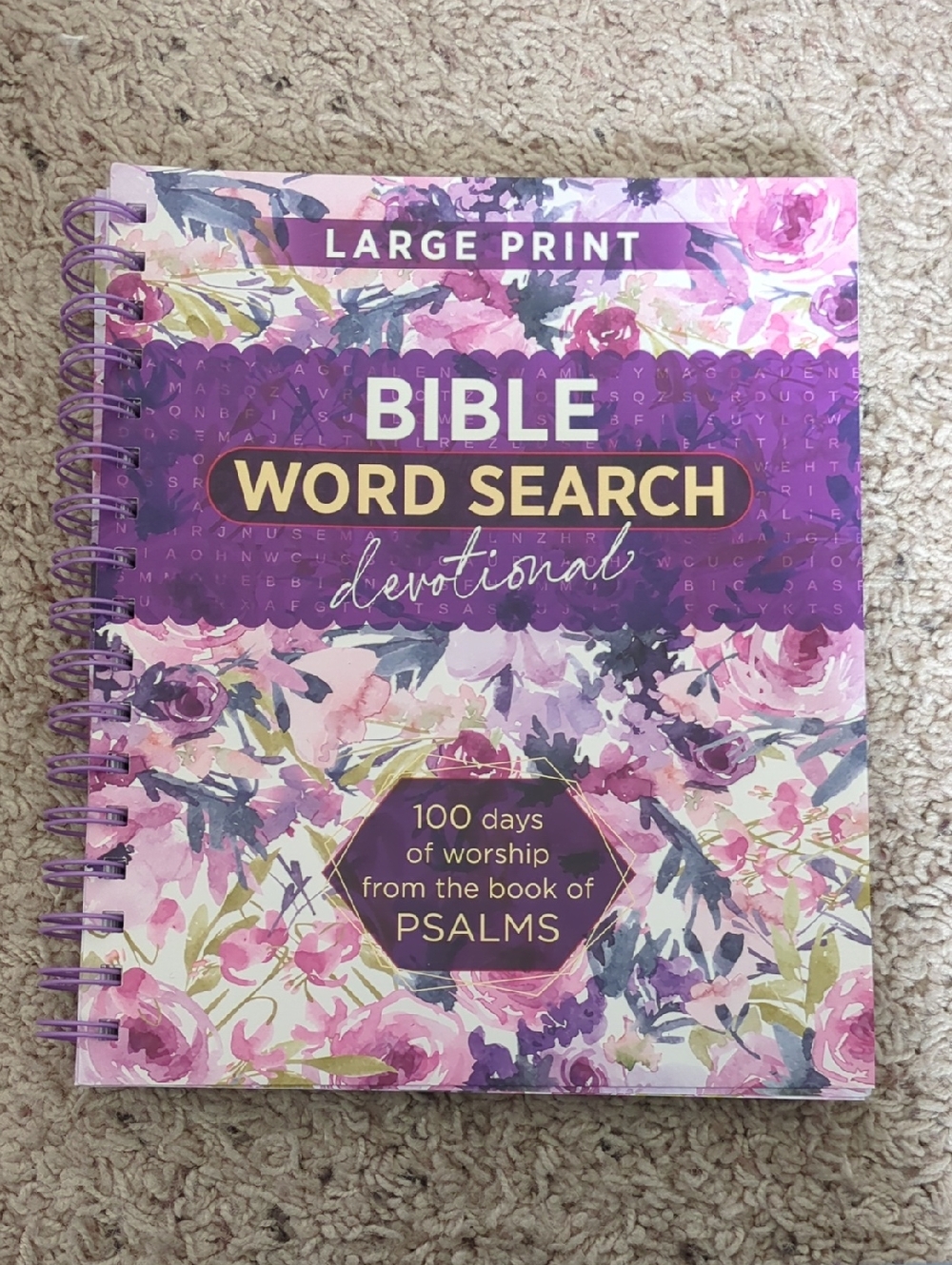 NEW Bible Word Search Devotional
